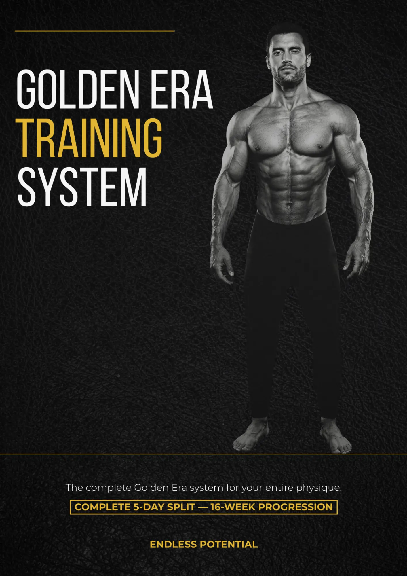 Cover of Golden Era Training System — $19