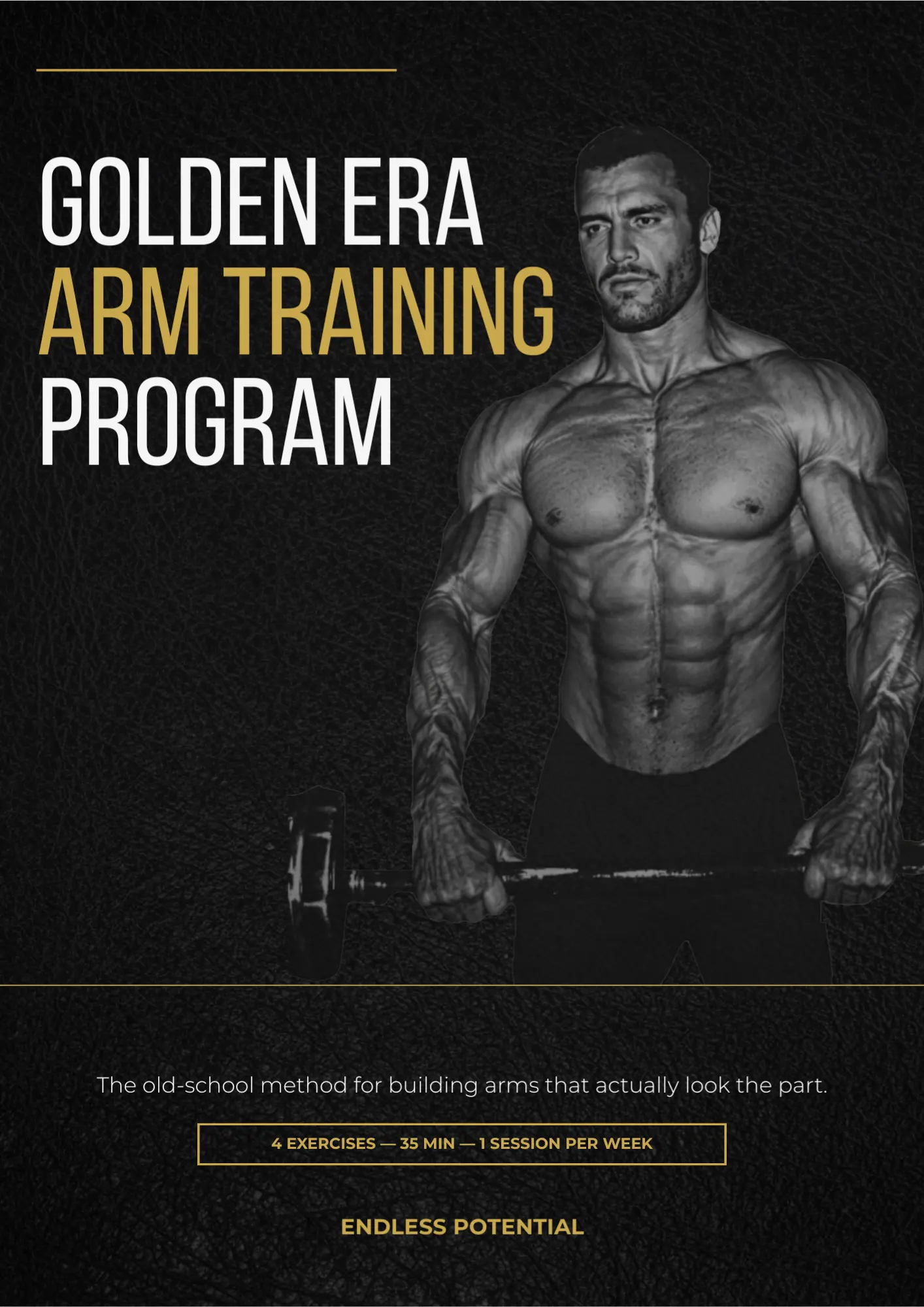 Cover of Golden Era Arm Training Program — free PDF
